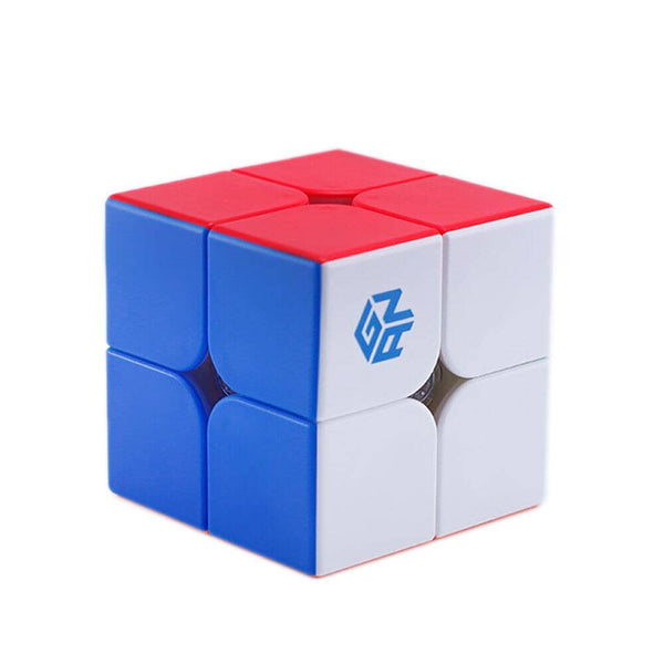 GAN 251 M LEAP 2x2